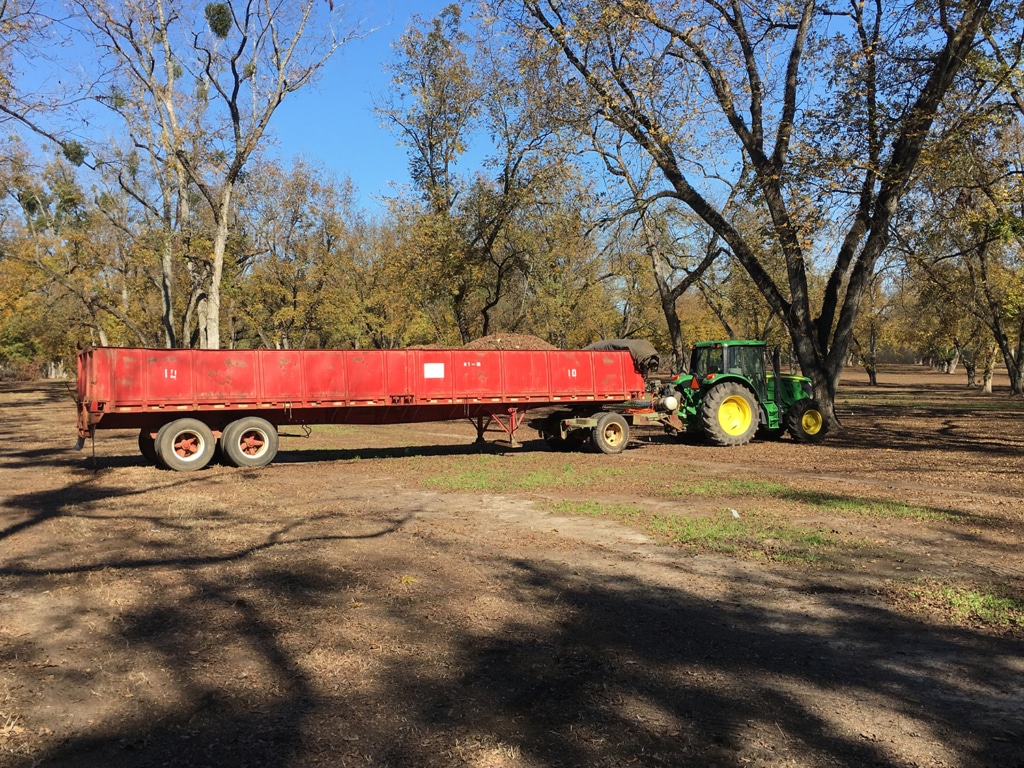 Large red trailer in pecan orchard.